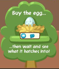 Buy the egg! Only 10 playfish cash